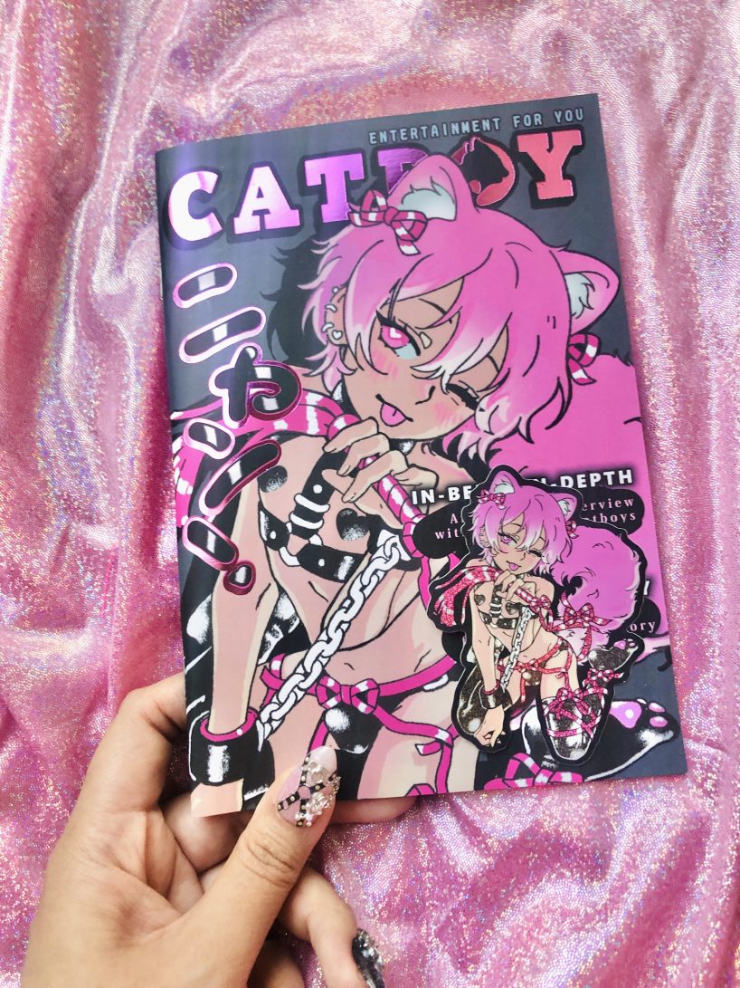 catboy sticker book