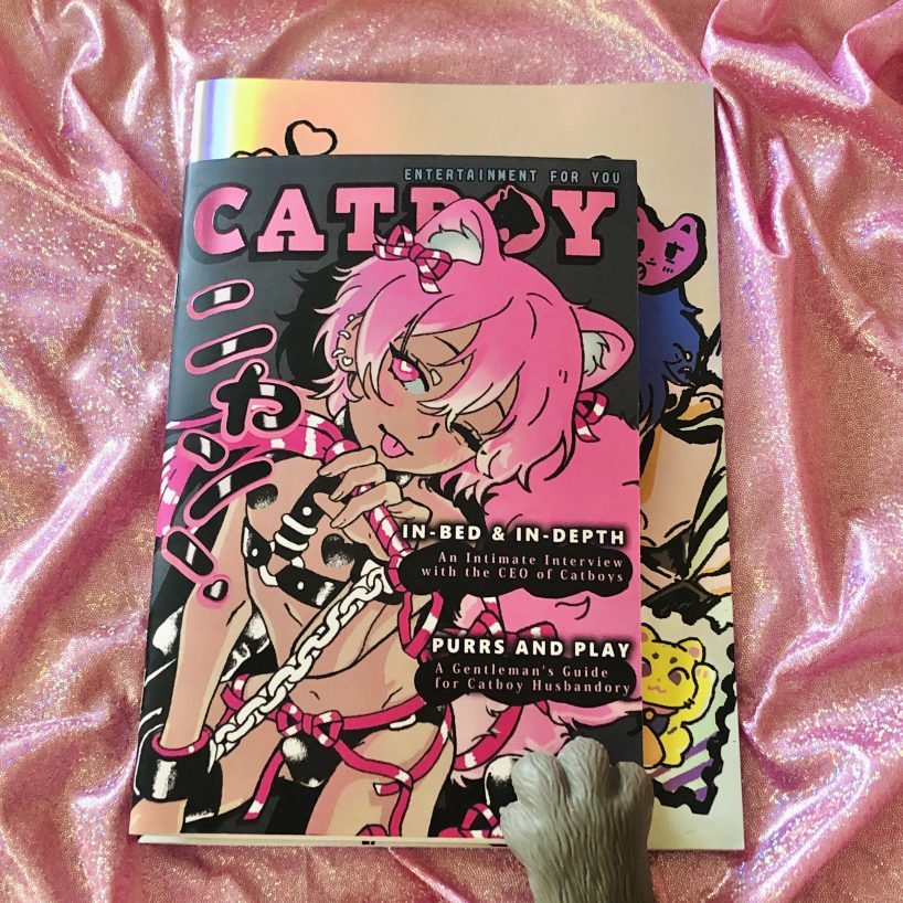 catboy sticker book